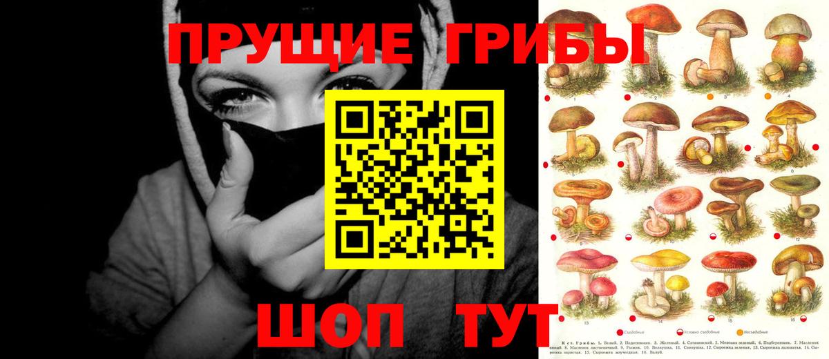 Псилоцибиновые грибы Magic Shrooms Волоколамск