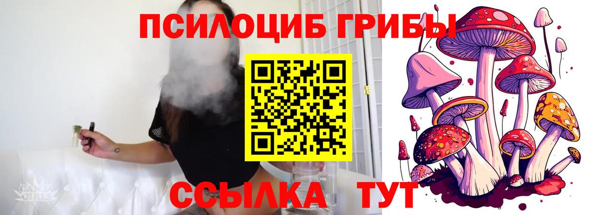 Волоколамск  Псилоцибиновые грибы MAGIC MUSHROOMS  Псилоцибиновые грибы Psilocybe  где найти наркотики  Вход с VPN 